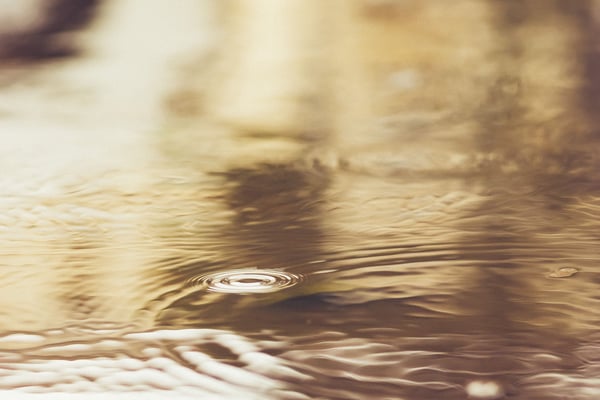 Why Ruminating is Dangerous