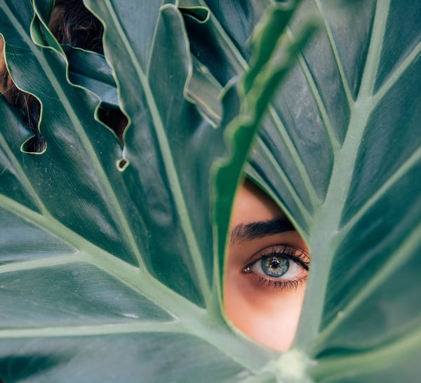 A Crash Course on the Imposter Syndrome