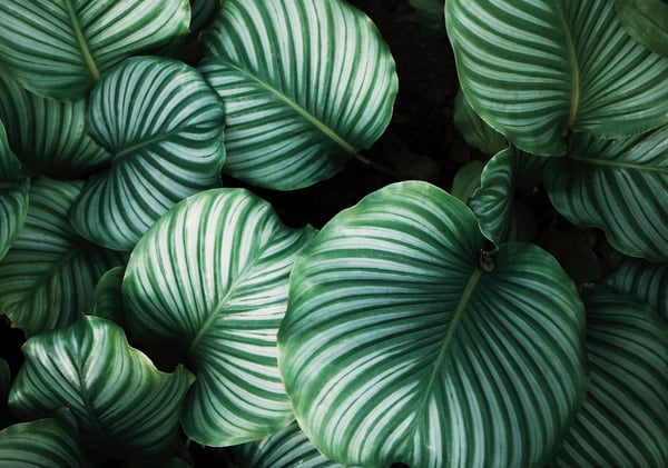 But How Do You Feel? 3 Tips for Total Self-Care.