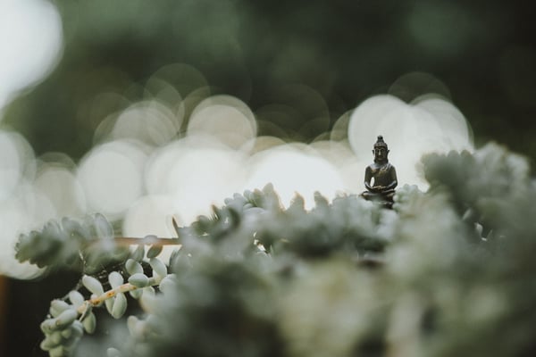 How to Be Your Own Business Warrior